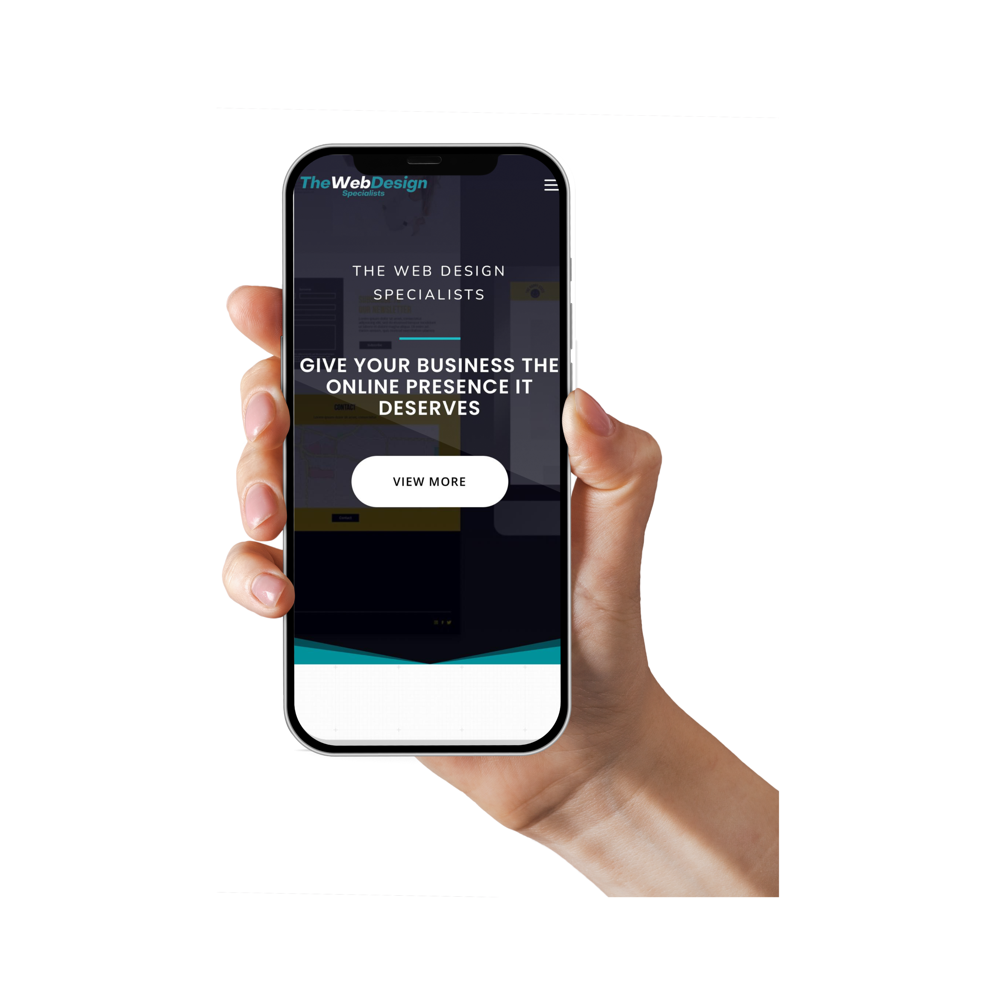 The Web Design Specialists Portfolio